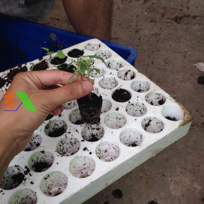 Khay ươm, giỏ, chậu treo, bình xịt phun sương...