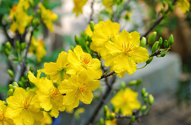 hãy đến đây bạn